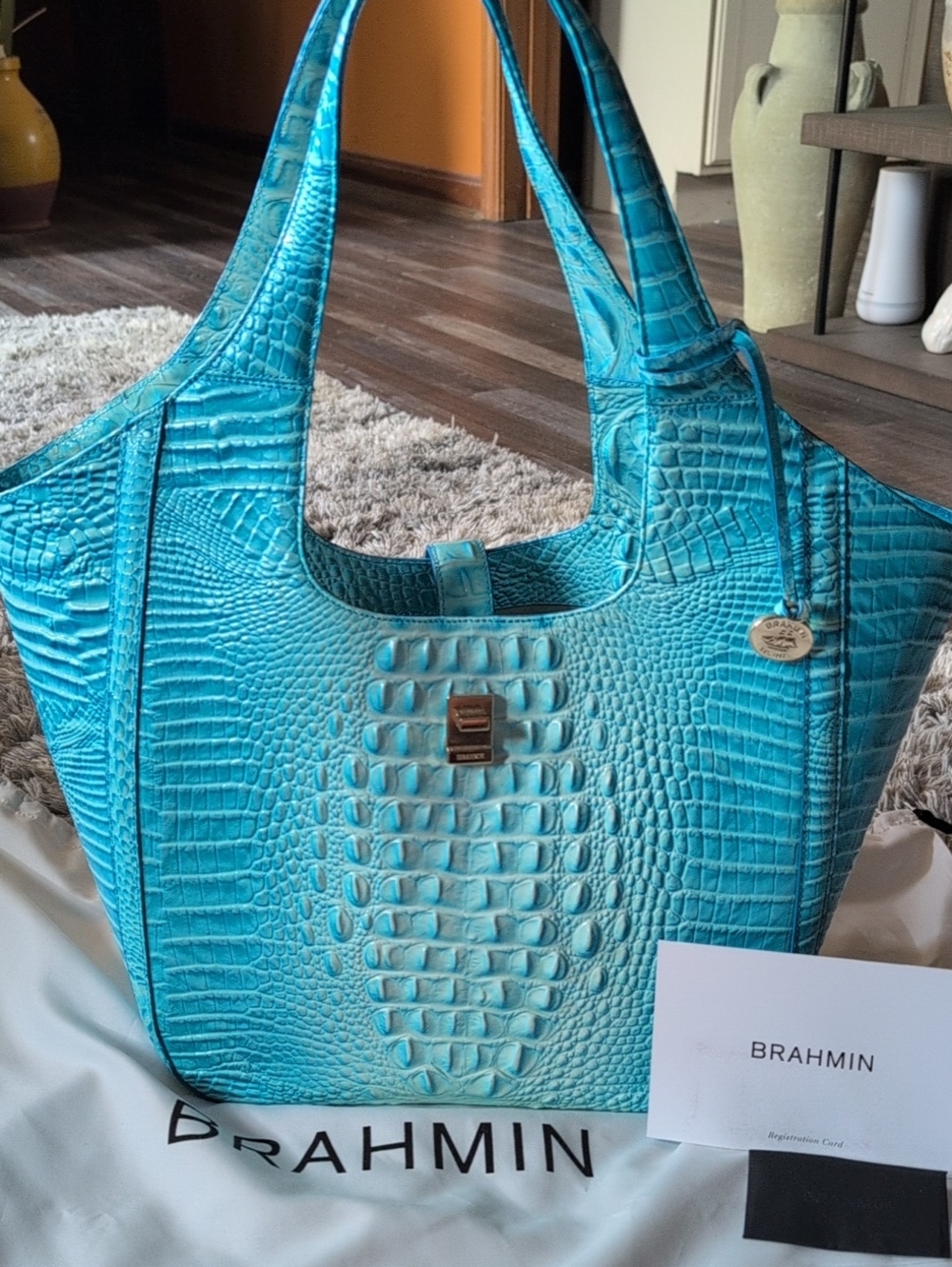 Brahmin Carla Sky Melbourne EUC